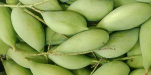 Raw Mango