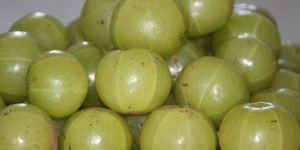 Amla