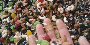 High Quality Mixed Dry Fruits