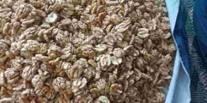 Organic Kashmiri Walnut Kernels