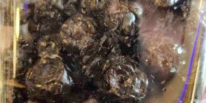 Premium Dried Blueberry