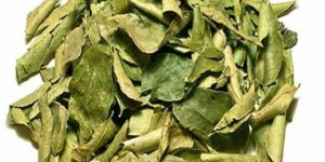 Dried Curry Leave
