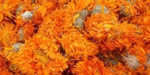 Dried Marigold Flower