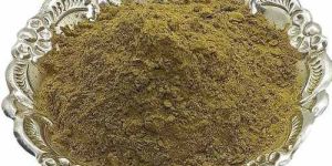 Gymnema Sylvestre Extract Powder