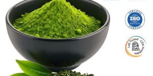 Moringa Powder