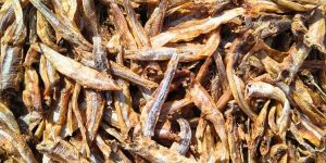 Dried Anchovy Fishes