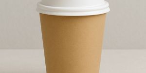 Double Wall Paper Cup