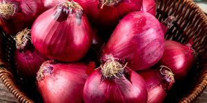 Fresh Red Onion