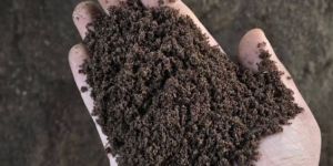 Vermicompost Fertilizer