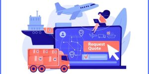 Import Export License Service