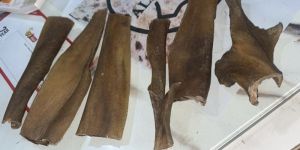 headskin natural dog chew