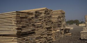 Southern Yellow Pine