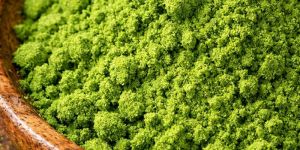 Organic Moringa Powder