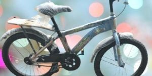 Child Bicycle