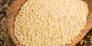 Poppy Seeds
