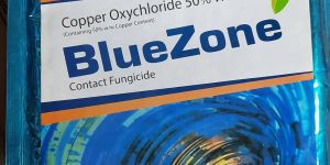 blue zone copper oxychloride