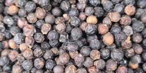 Black Pepper