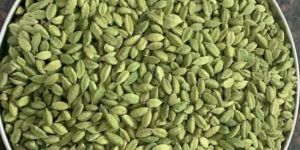 Green Cardamom