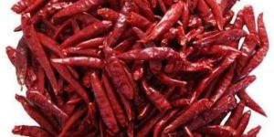 Dry Red Chilli
