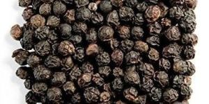 Extra Bold Black Pepper Seeds