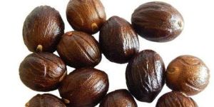 Nutmeg with Shell