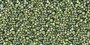 Organic Green Pepper Seeds