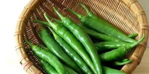a Grade Fresh Green Chilli