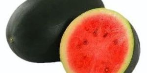 Fresh Kiran Watermelon