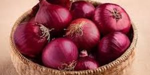 Fresh Red Onion