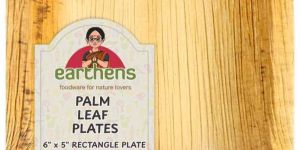 6x5 Inch Rectangle Deep Areca Palm Sheath Plate