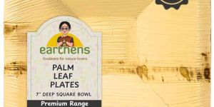 7 Inch Deep Square Areca Palm Sheath Bowl