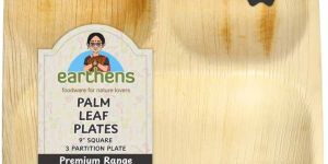 9 Inch Square Areca Palm Sheath 3 Compartment Plate