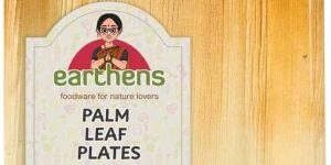 9x6 Inch Rectangle Deep Areca Palm Sheath Plate