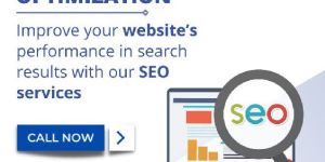 Search Engine Optimisation (SEO)