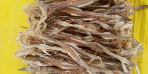 Dried Bombay Duck Fish