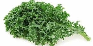 A Grade Curly Kale