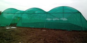 Tunnel Type Net House