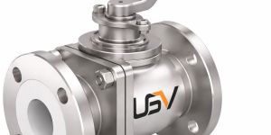 Lined Plug Valve