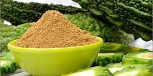 Dehydrated Bitter Gourd Powder