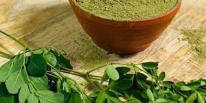 Moringa Leaves Powder