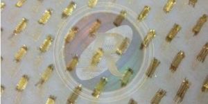 Embroidered Georgette Fabric