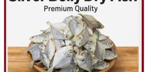 Dry Silver Fish