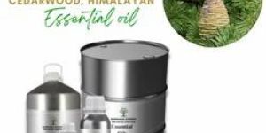 Cedarwood Essential Oil