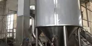 fruits vegetable spray drying service