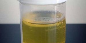 Cow Urine