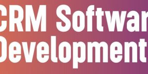 b2c e-commerce development service