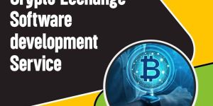 Startup App Development