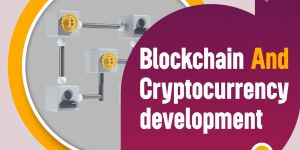 Web Development Services