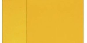 Laminated Yellow Envelopes