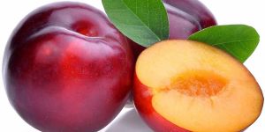 a Grade Fresh Plum